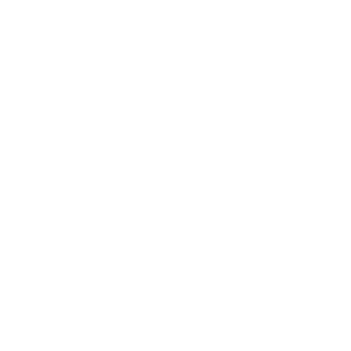 ALISON MICHELLE TAVERA CARRASCO